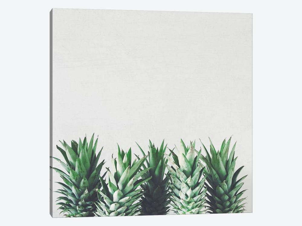 Pineapple Leaves by Cassia Beck 1-piece Canvas Artwork