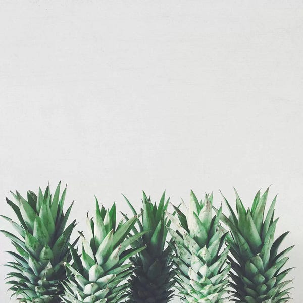 Pineapples: Pineapple Leaves by Cassia Beck