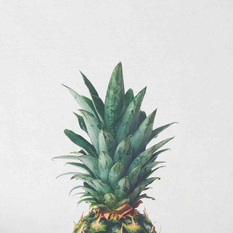 Pineapple Top