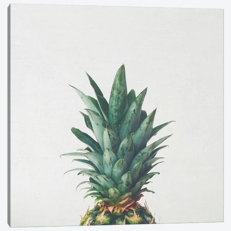 Pineapple Top Canvas Print #CSB89} by Cassia Beck Canvas Wall Art