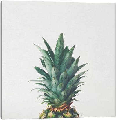 Pineapple Top Canvas Art Print - Pineapple Art