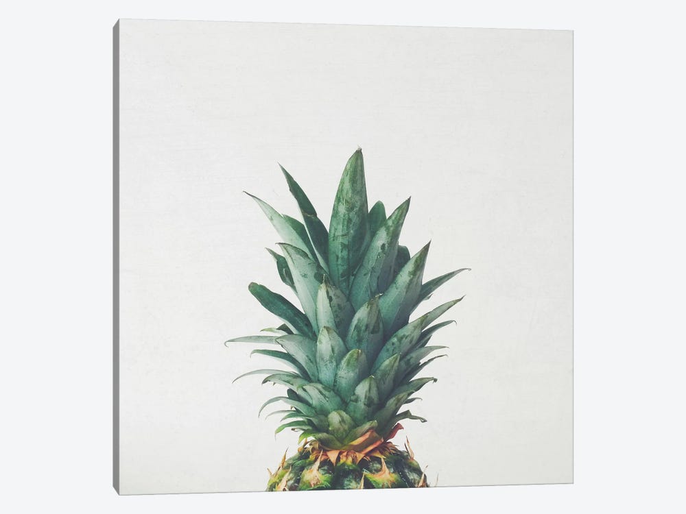 Pineapple Top by Cassia Beck 1-piece Art Print