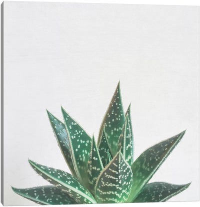 Aloe Tiki Canvas Art Print
