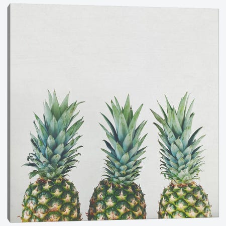 Pineapple Trio Canvas Print #CSB90} by Cassia Beck Canvas Print