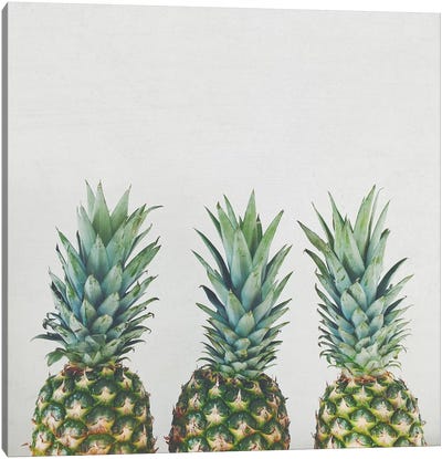 Pineapple Trio Canvas Art Print - Cassia Beck
