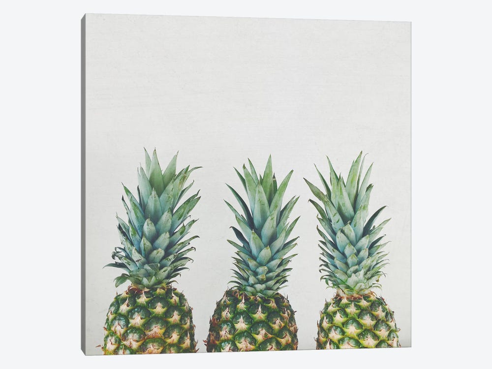 Pineapple Trio by Cassia Beck 1-piece Canvas Print