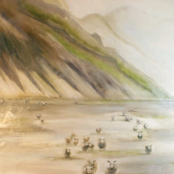 King's Sheep