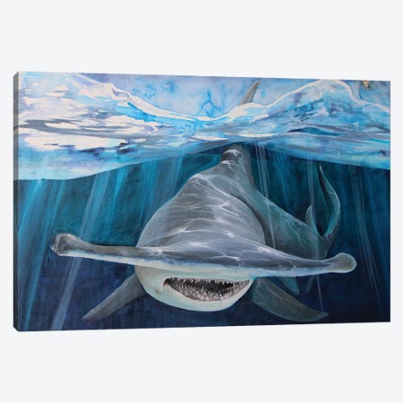 Hammerhead Shark Canvas Print #CSJ15} by Cris James Canvas Art