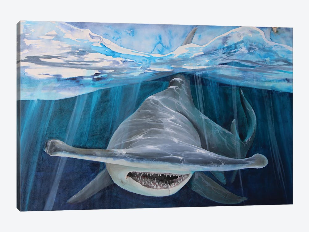 Hammerhead Shark by Cris James 1-piece Canvas Art Print
