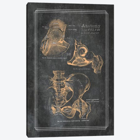 Anatomy Of The Pelvis And Hip Joint Canvas Print #CSM14} by ChartSmartDecor Canvas Print