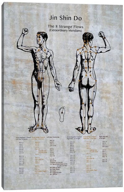 Jin Shin Do: The 8 Strange Flows Meridian Chart Canvas Art Print - Medical & Dental Blueprints