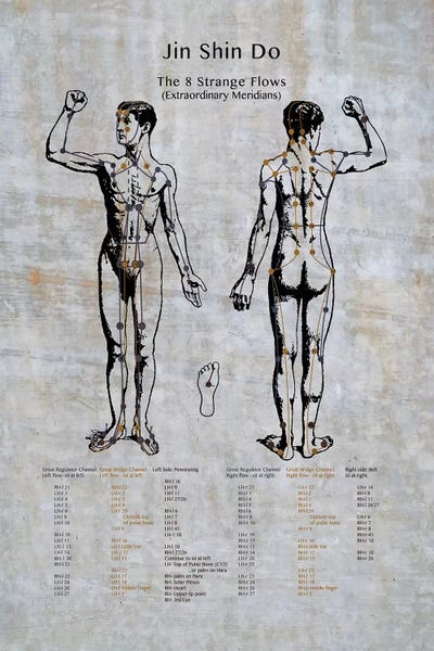 ChartSmartDecor: Jin Shin Do: The 8 Strange Flows Meridian Chart by ChartSmartDecor