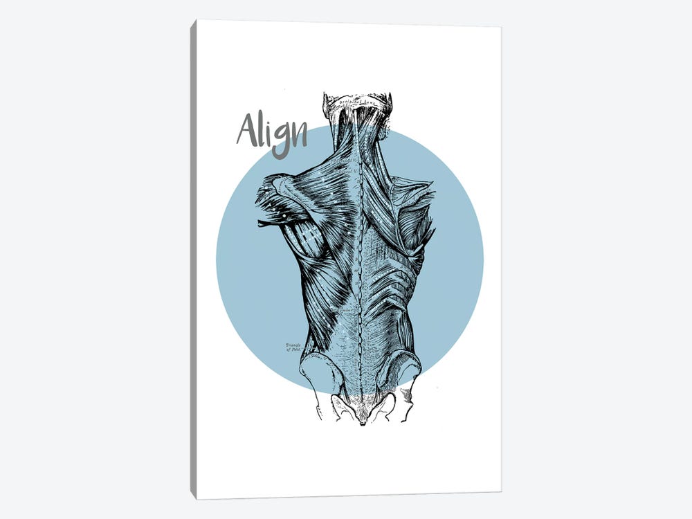 Muscles Of The Back Align by ChartSmartDecor 1-piece Art Print