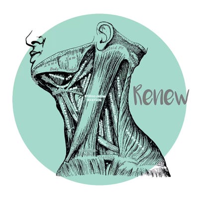 Muscles Of The Neck Renew by ChartSmartDecor canvas print