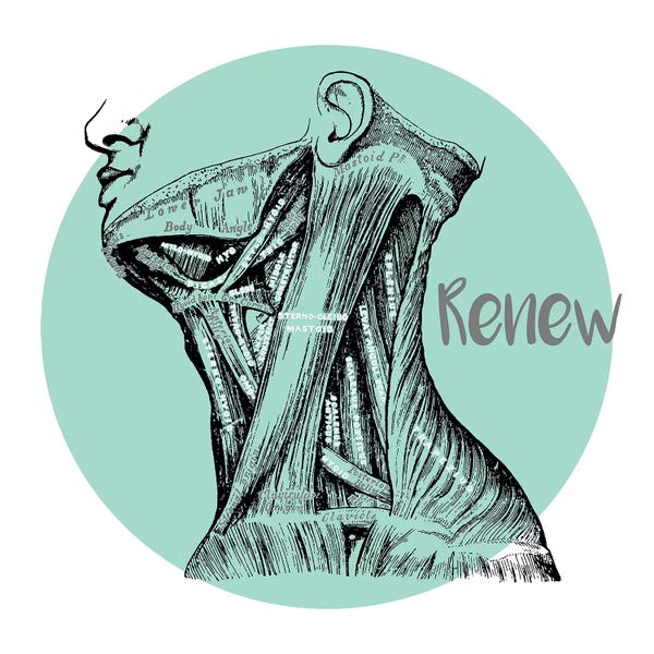 ChartSmartDecor: Muscles Of The Neck Renew by ChartSmartDecor