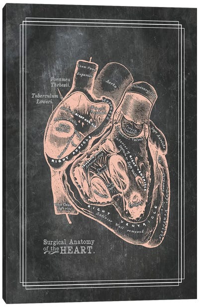 Surgical Anatomy Of The Heart Canvas Art Print - Medical & Dental Blueprints