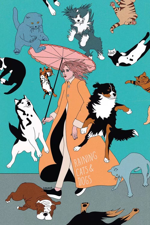 Cats & Dogs by Cosmo wall art