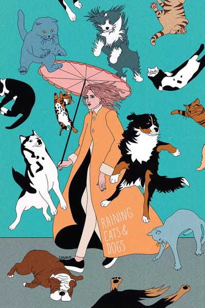 Pet Obsessed: Cats & Dogs by Cosmo