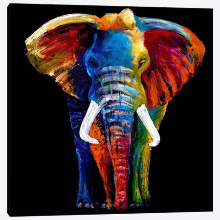 The Great Elephant Canvas Print #CSU2} by Clara Summer Canvas Art