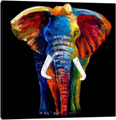 The Great Elephant Canvas Art Print