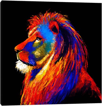 The Lion Canvas Art Print