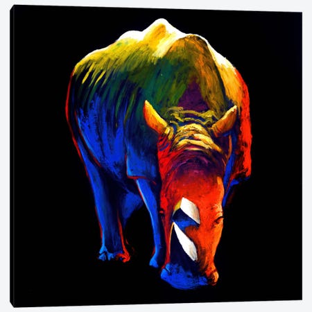 The Rhino Canvas Print #CSU4} by Clara Summer Canvas Art Print