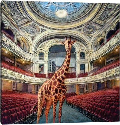 Nature On Stage Canvas Art Print - Carlos Arriaga