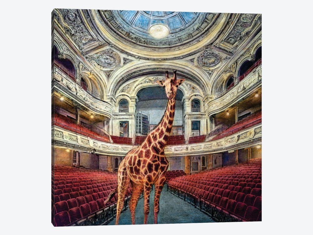 Nature On Stage by Carlos Arriaga 1-piece Art Print