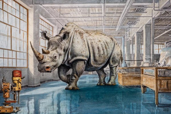 Rhinoceroses: The Roar Of Nature by Carlos Arriaga