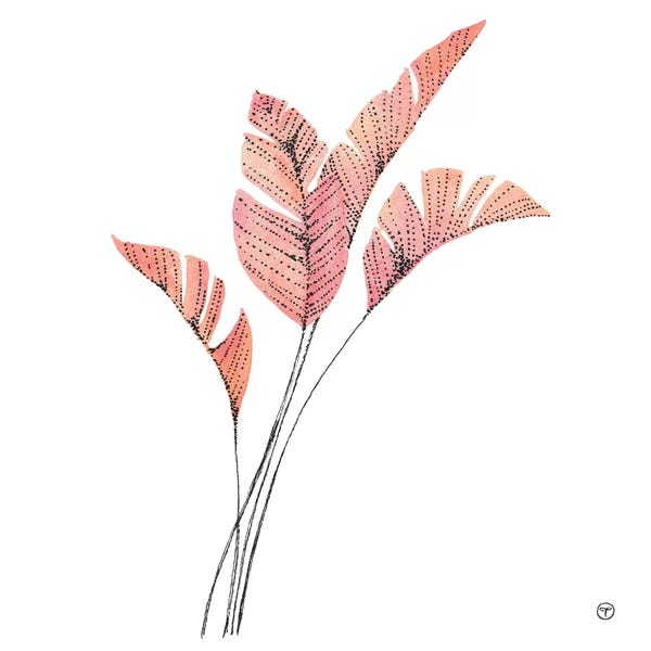 Feather Fronds