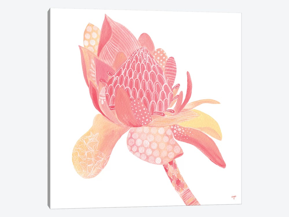 King Protea Paper by CreatingTaryn 1-piece Canvas Artwork