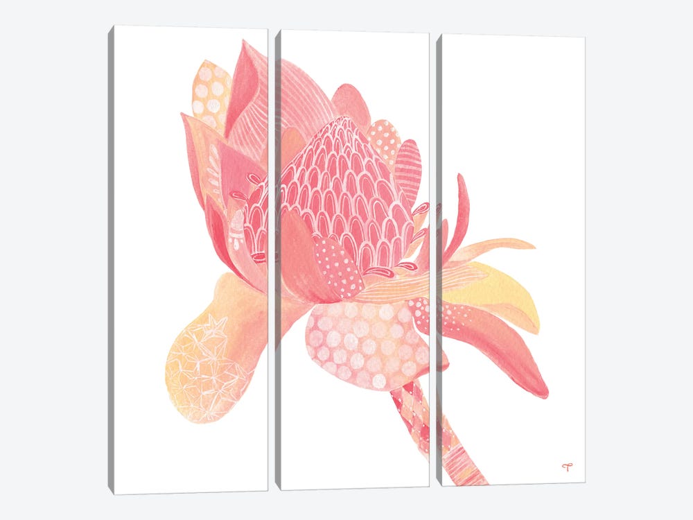 King Protea Paper by CreatingTaryn 3-piece Canvas Artwork