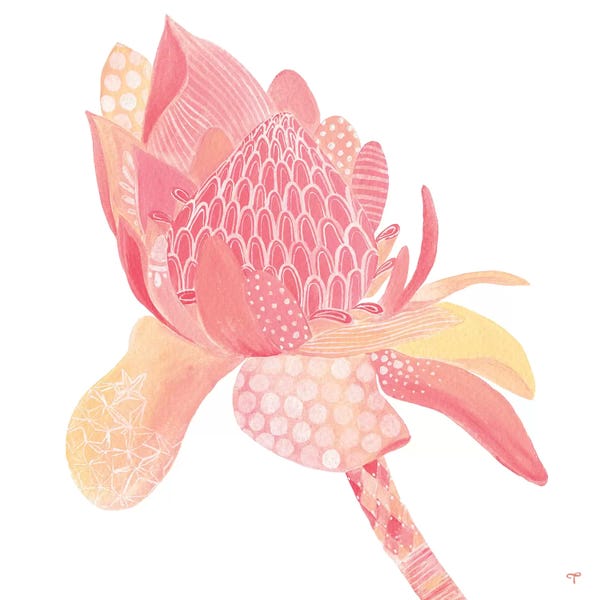 Protea: King Protea Paper by CreatingTaryn