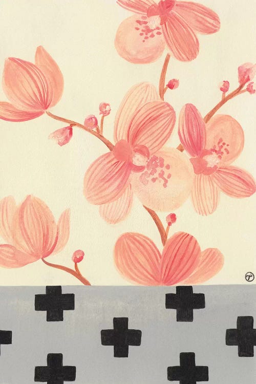 Orchids With Crosses On Grey