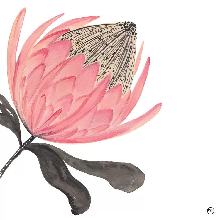 Protea Stripes by CreatingTaryn wall art