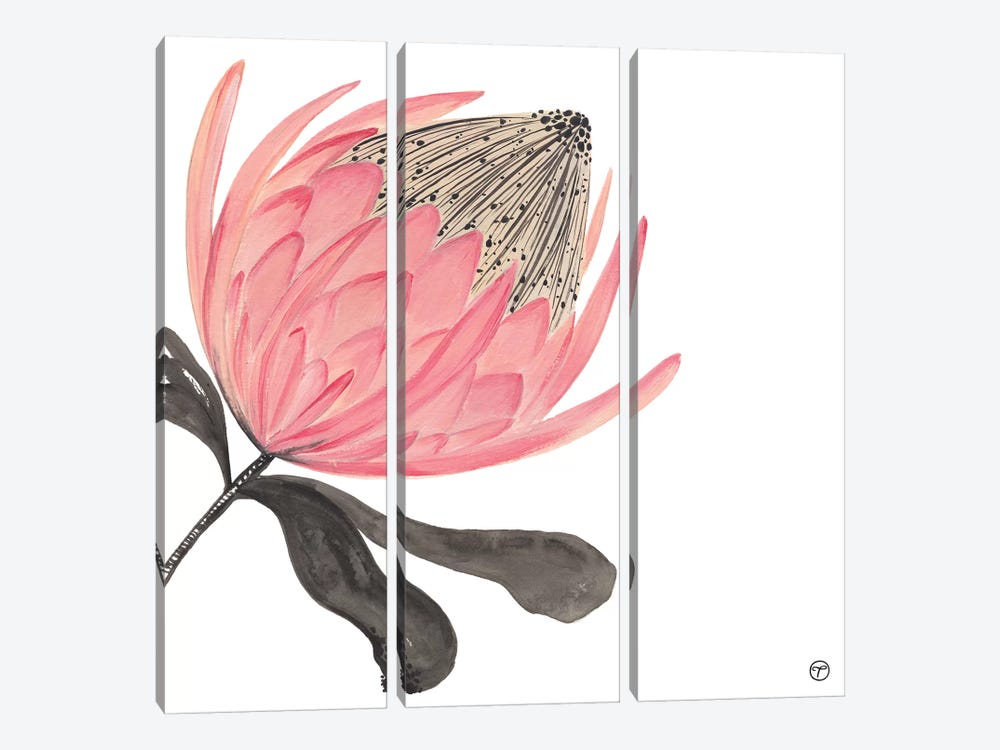 Protea Stripes by CreatingTaryn 3-piece Canvas Print