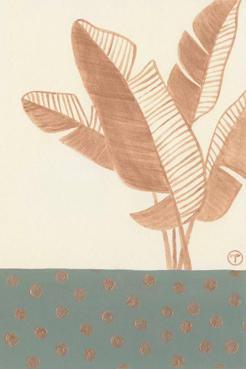 Single Bird Of Paradise Leaf