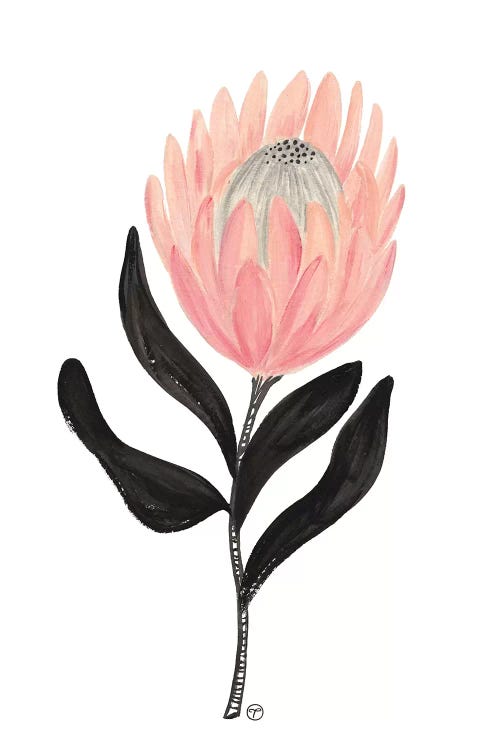 Single Protea Paper by CreatingTaryn wall art
