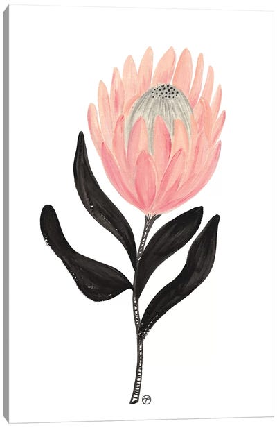 Single Protea Paper Canvas Art Print - Protea