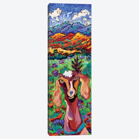 Mountain High Goat Canvas Print #CTC9} by Cathy Carey Canvas Art