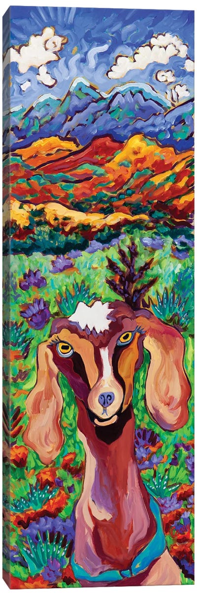 Mountain High Goat Canvas Art Print