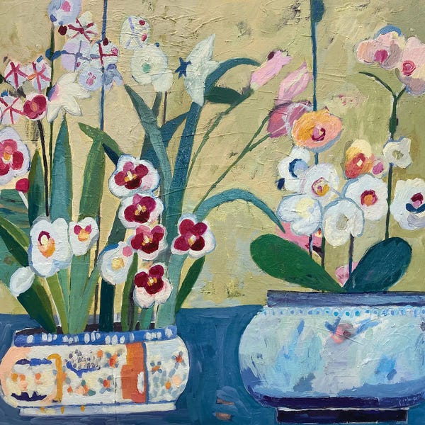 Orchids: Orchids by Charlotte Hardy