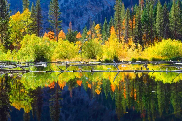 Vibrant Mountain Landscape And Its Reflection, Sierra Nevada, California, USA