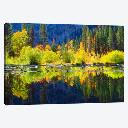 Vibrant Mountain Landscape And Its Reflection, Sierra Nevada, California, USA Canvas Print #CTF11} by Christopher Talbot Frank Canvas Art