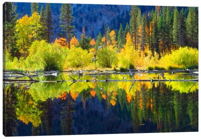 Vibrant Mountain Landscape And Its Reflection, Sierra Nevada, California, USA Canvas Art Print - Lake Art