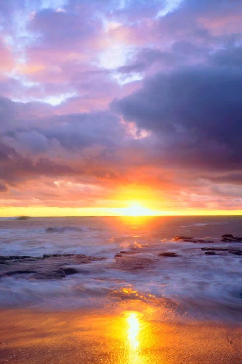 Majestic Sunset, Sunset Cliffs Natural Park, San Diego, California, USA by Christopher Talbot Frank wall art
