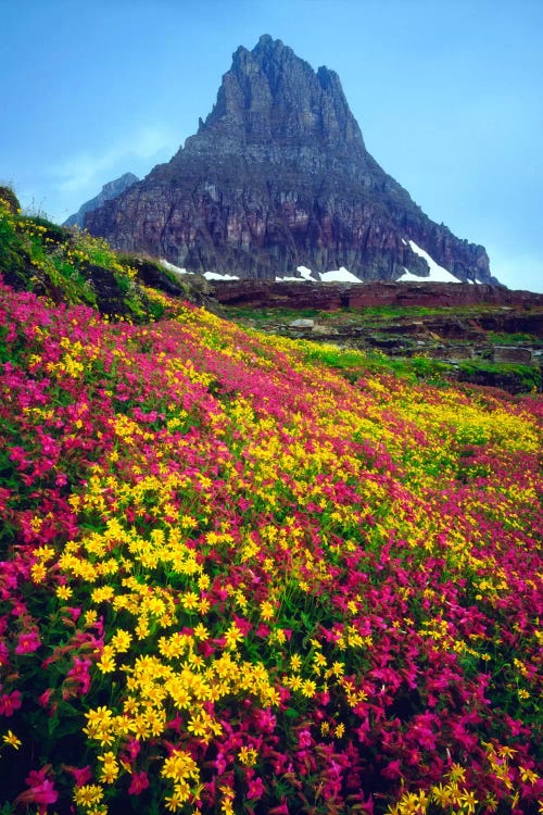 Summer Landscape, Glacier National Park, Montana, USA