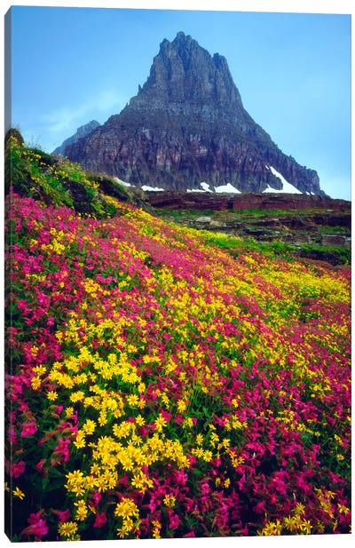 Summer Landscape, Glacier National Park, Montana, USA Canvas Art Print - Glacier National Park Art