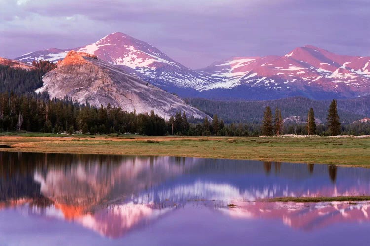 Lembert Dome And Its Reflection In The Tuolumne River, Yosemite National Park, California, USA