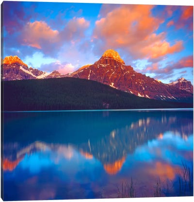 Great BIG Canvas | Banff, Alberta, Canada, Driftwood And A Mountain River  At Sunset Canvas Wall Art - 16x24